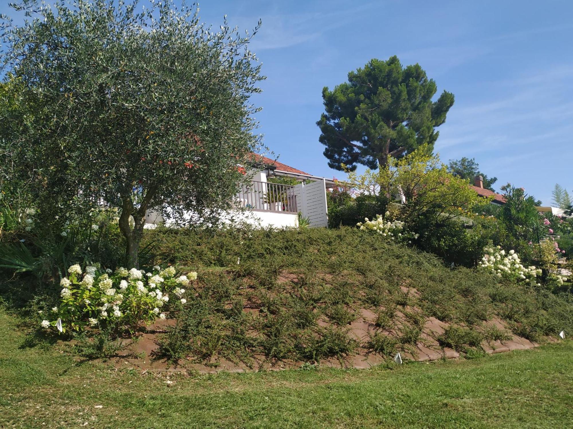 Casa Fellini Villa ซานเซโน ดี มอนตาญญา ภายนอก รูปภาพ